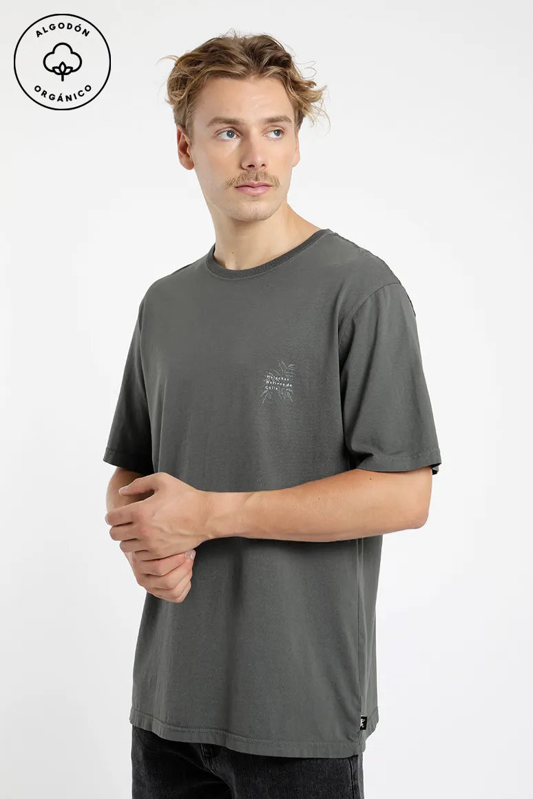 Polera manga corta hombre Helechos verde Algodón orgánico