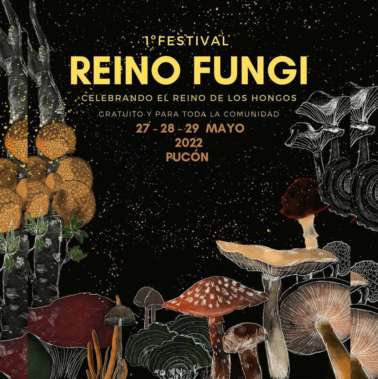 Festival Reino Fungi
