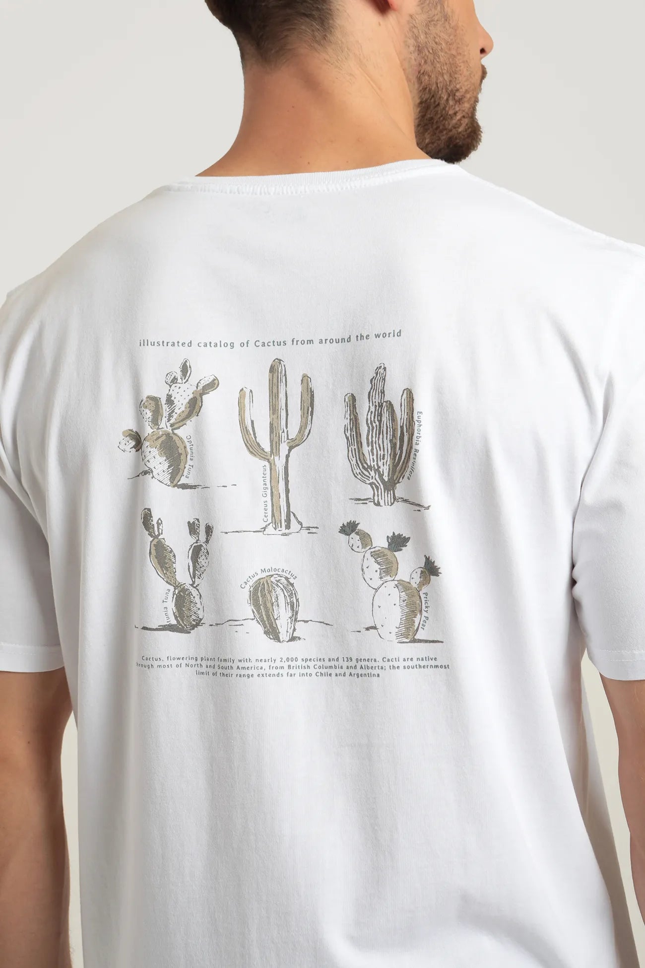 Polera manga corta hombre cactus blanco - Algodón orgánico