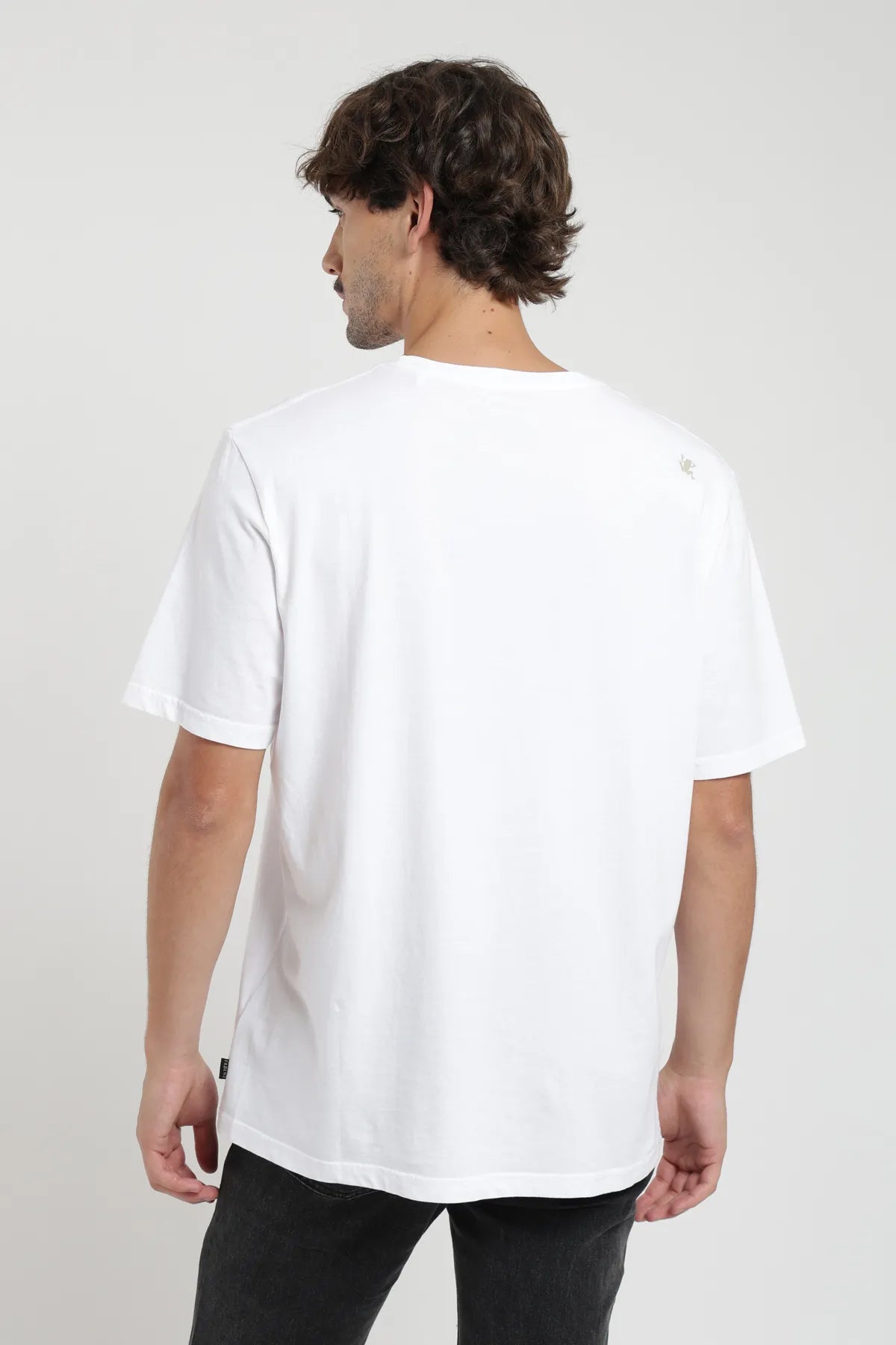 Polera manga corta hombre Plain blanco - Algodón orgánico - Frøens