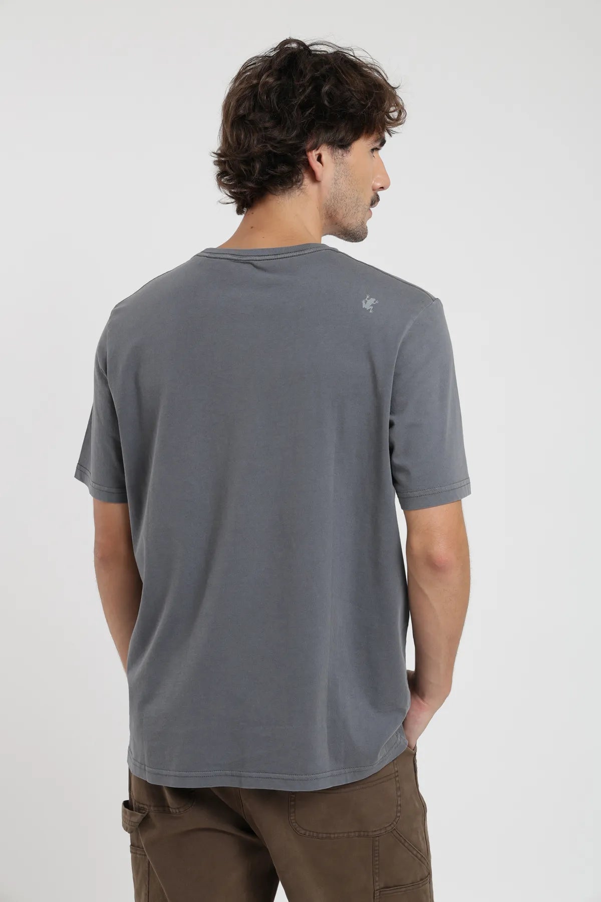 Polera manga corta hombre Plain grafito - Algodón orgánico - Frøens