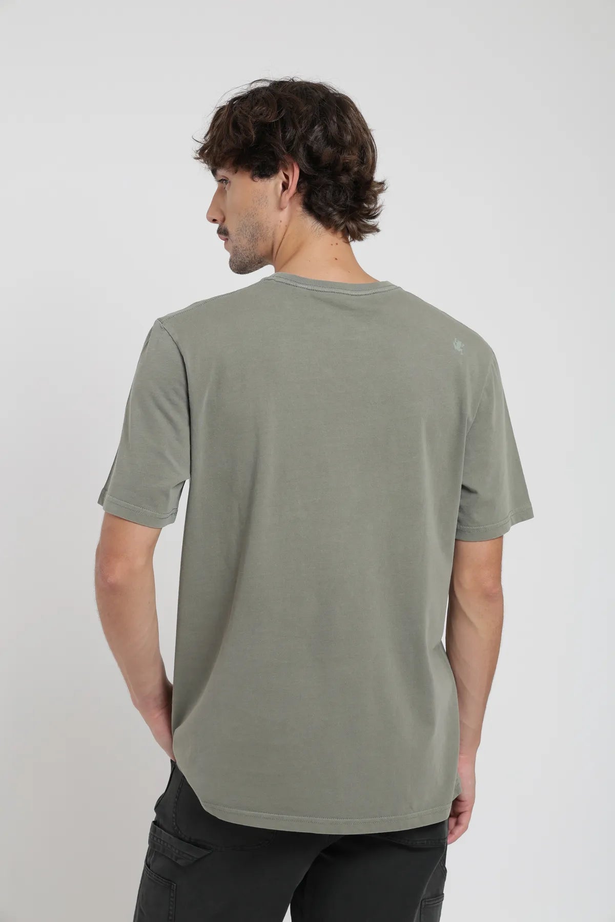Polera manga corta hombre Plain verde - Algodón orgánico - Frøens