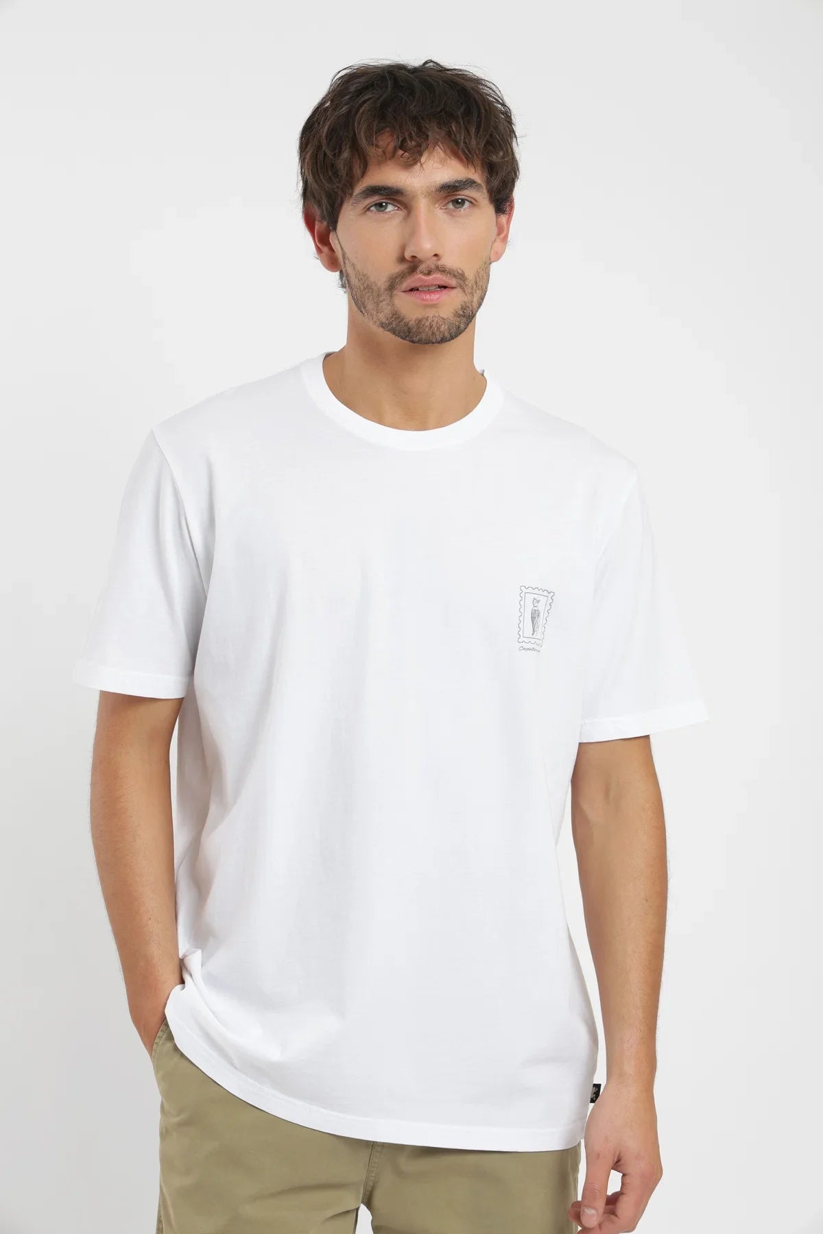 Polera manga corta hombre Carpintero blanco Froens