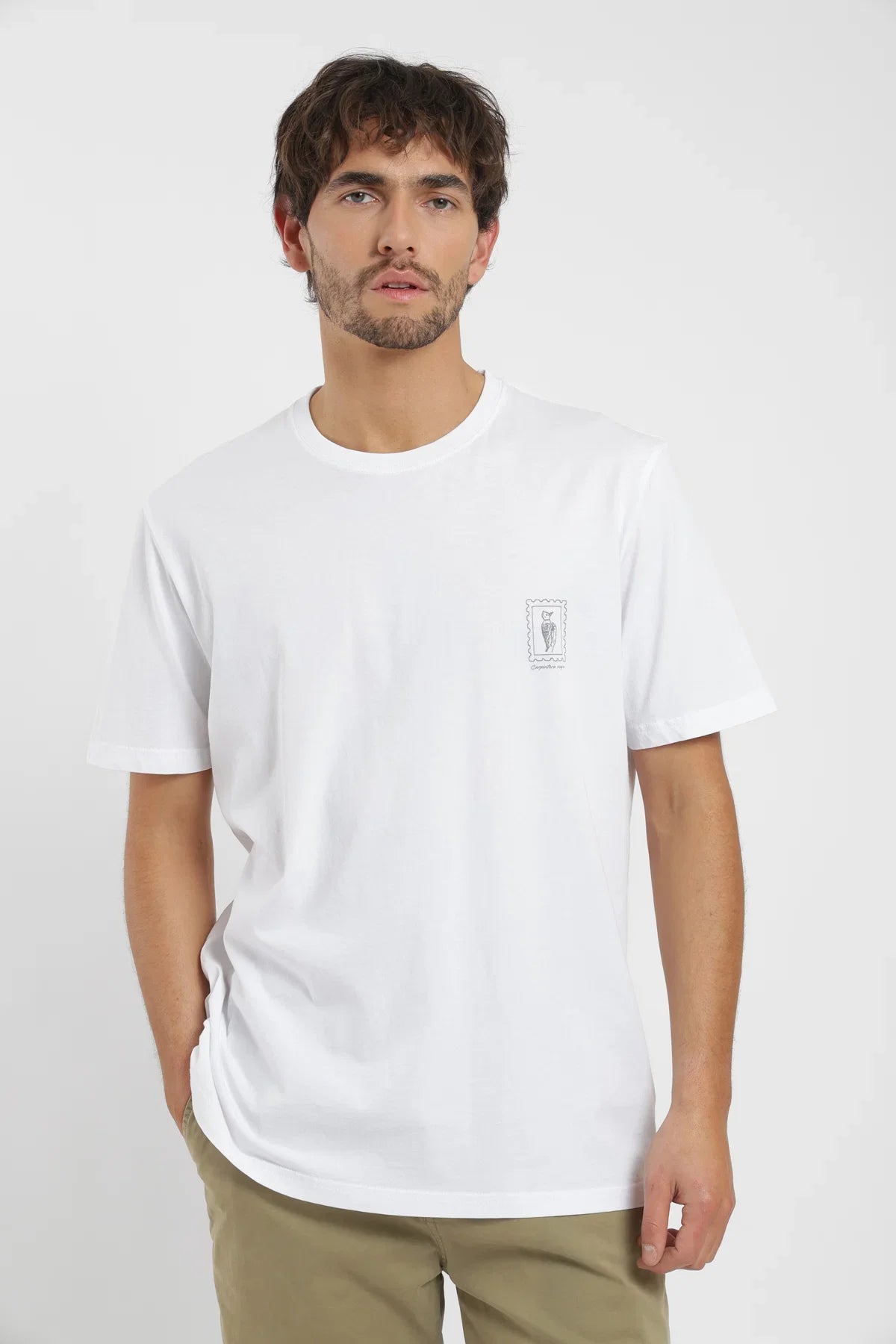 Polera manga corta hombre Carpintero blanco Froens