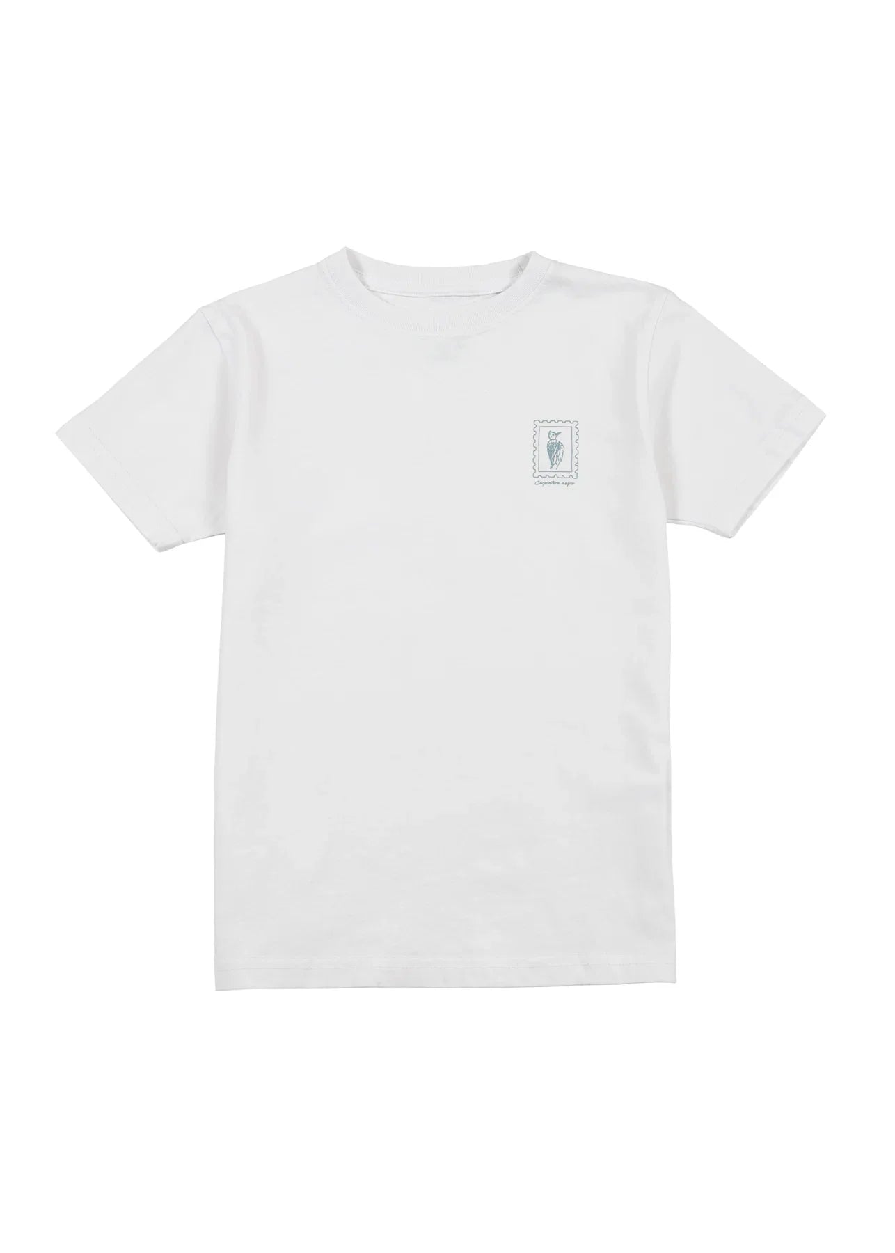 Polera manga corta kids Carpintero blanco