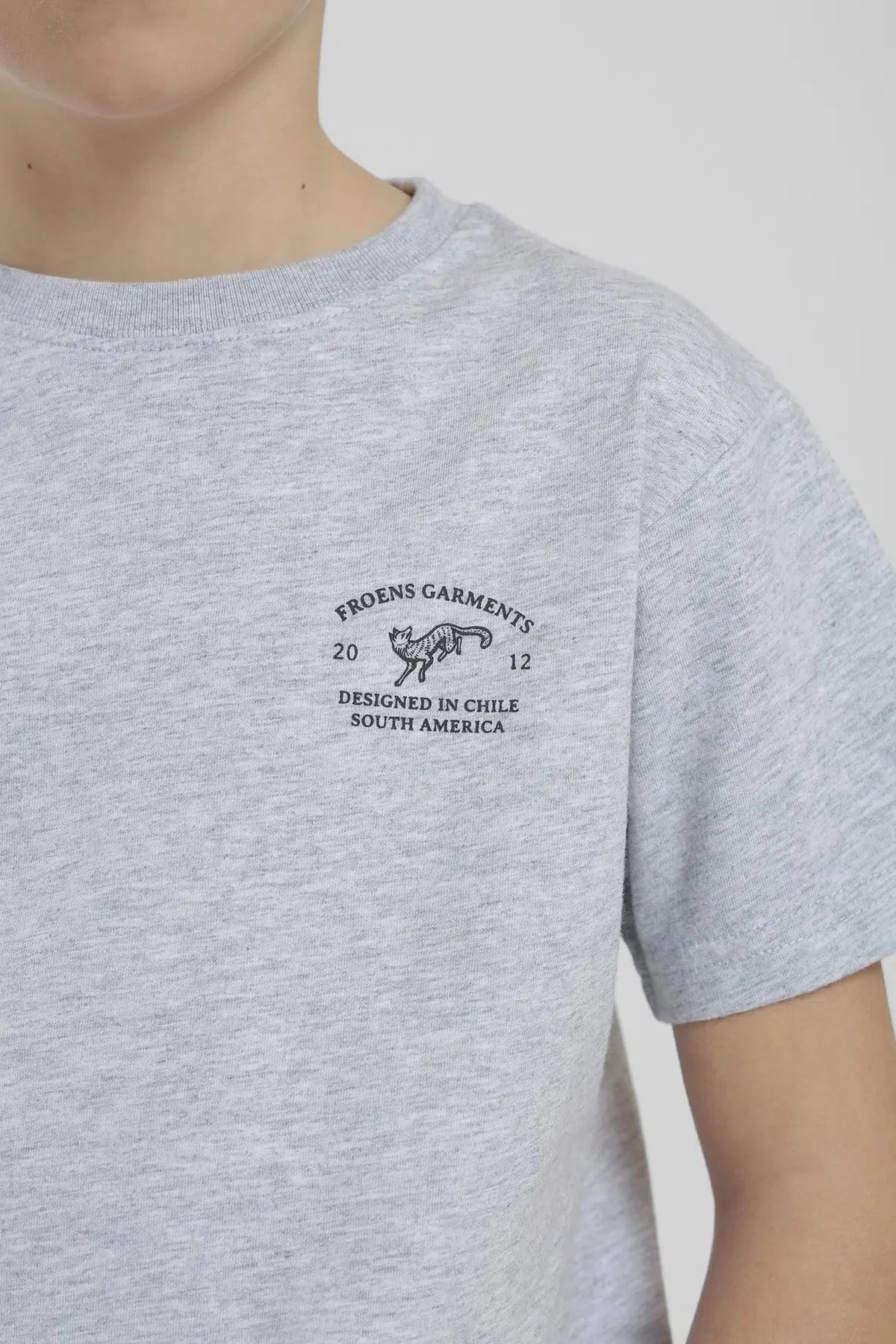 Polera Fox Kids gris Froens
