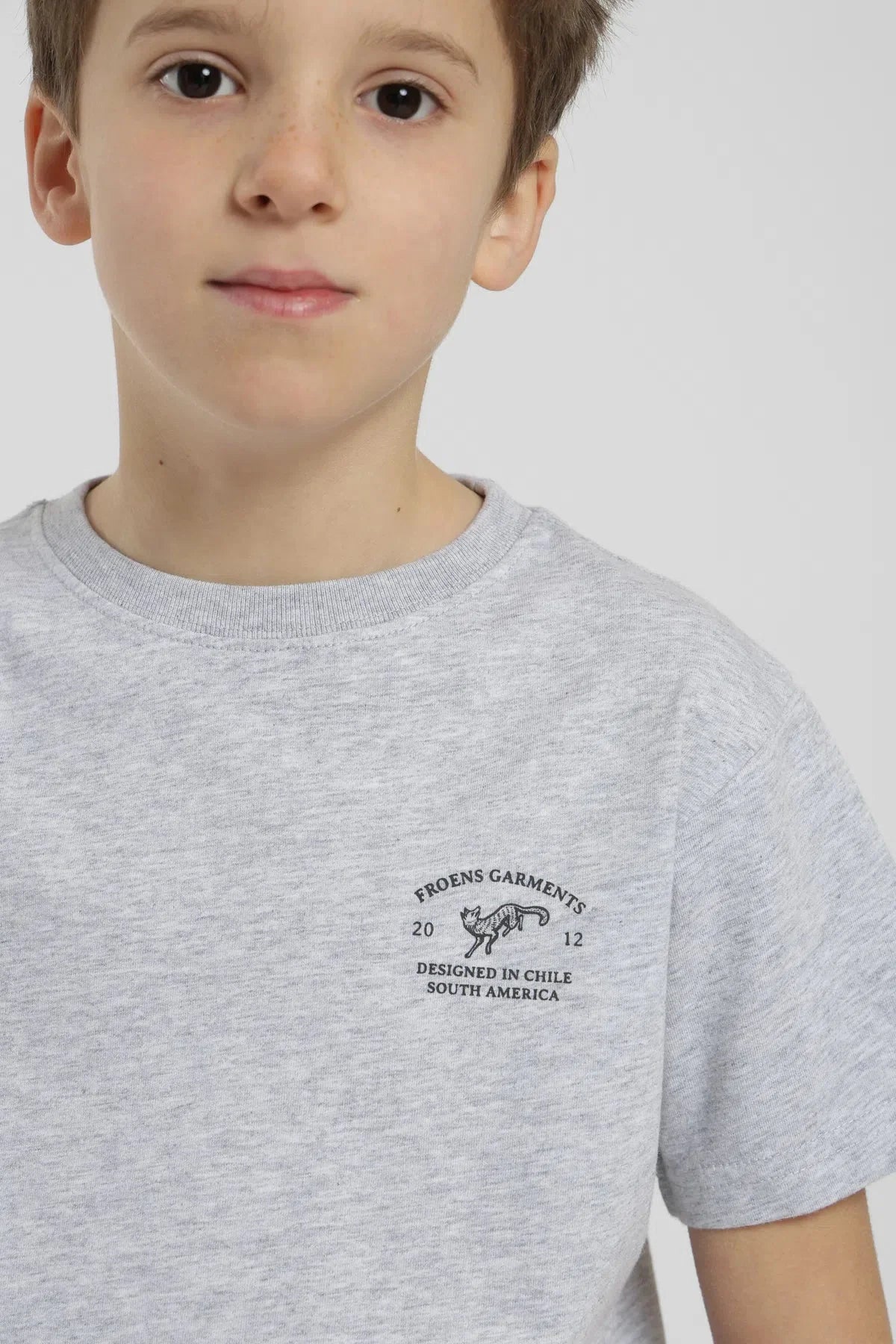 Polera Fox Kids gris Froens
