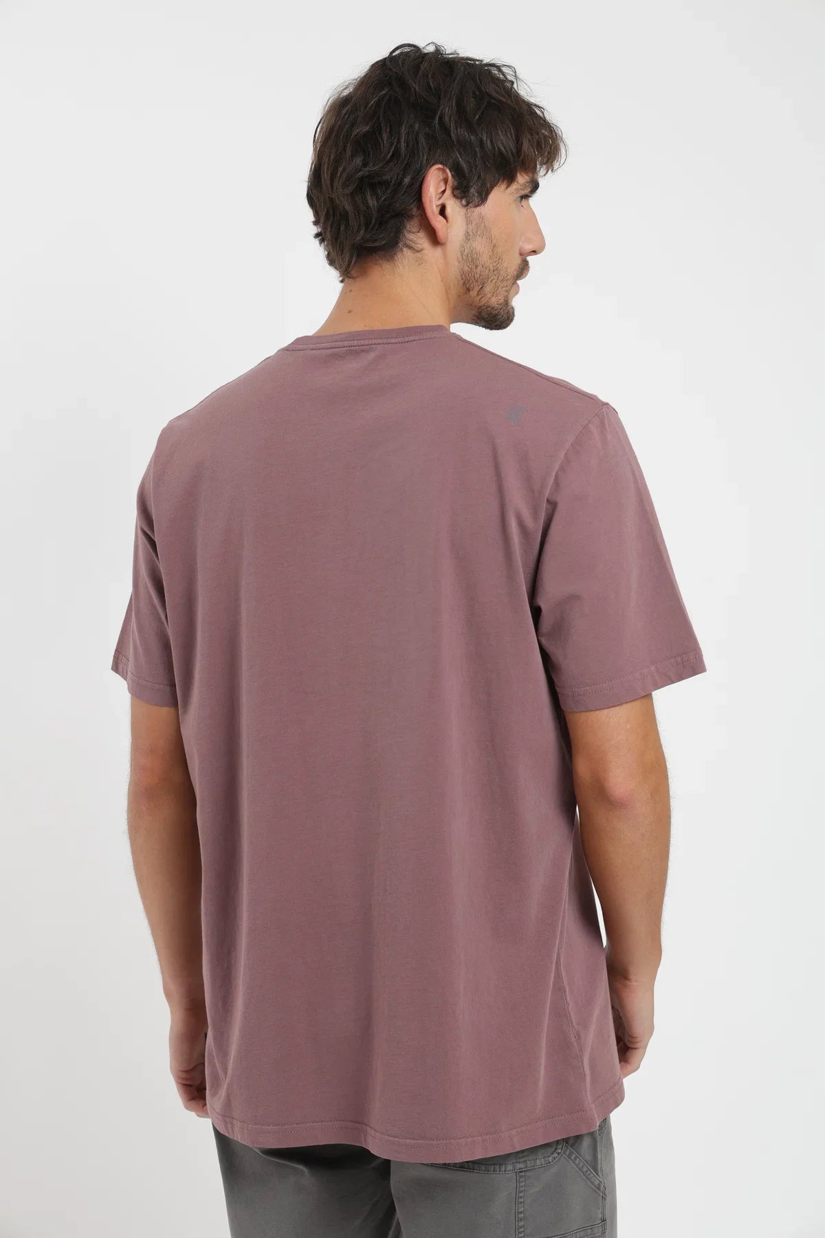 Polera manga corta hombre Manzana burdeo Froens