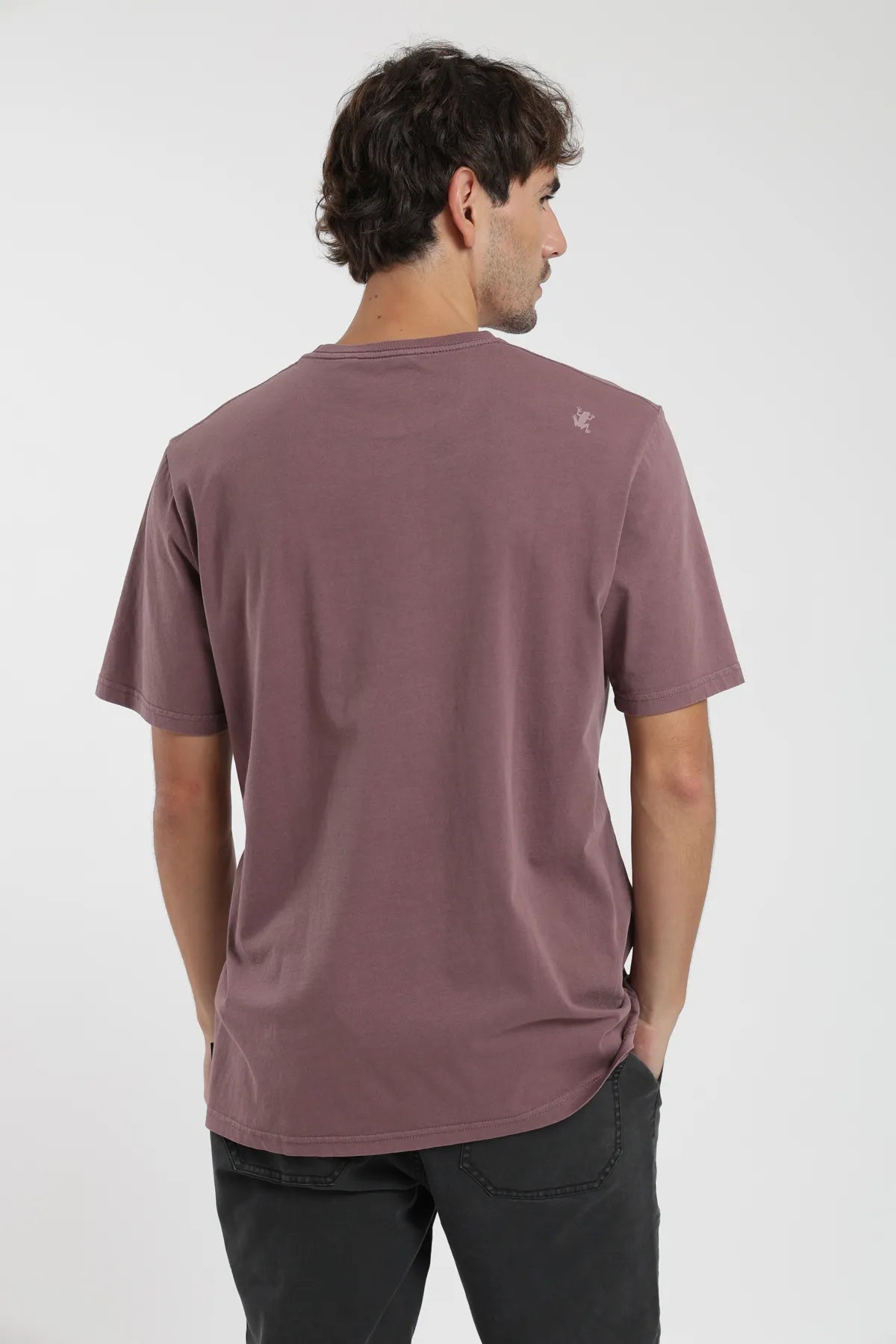 Polera manga corta hombre Plain burdeo - Algodón orgánico - Frøens