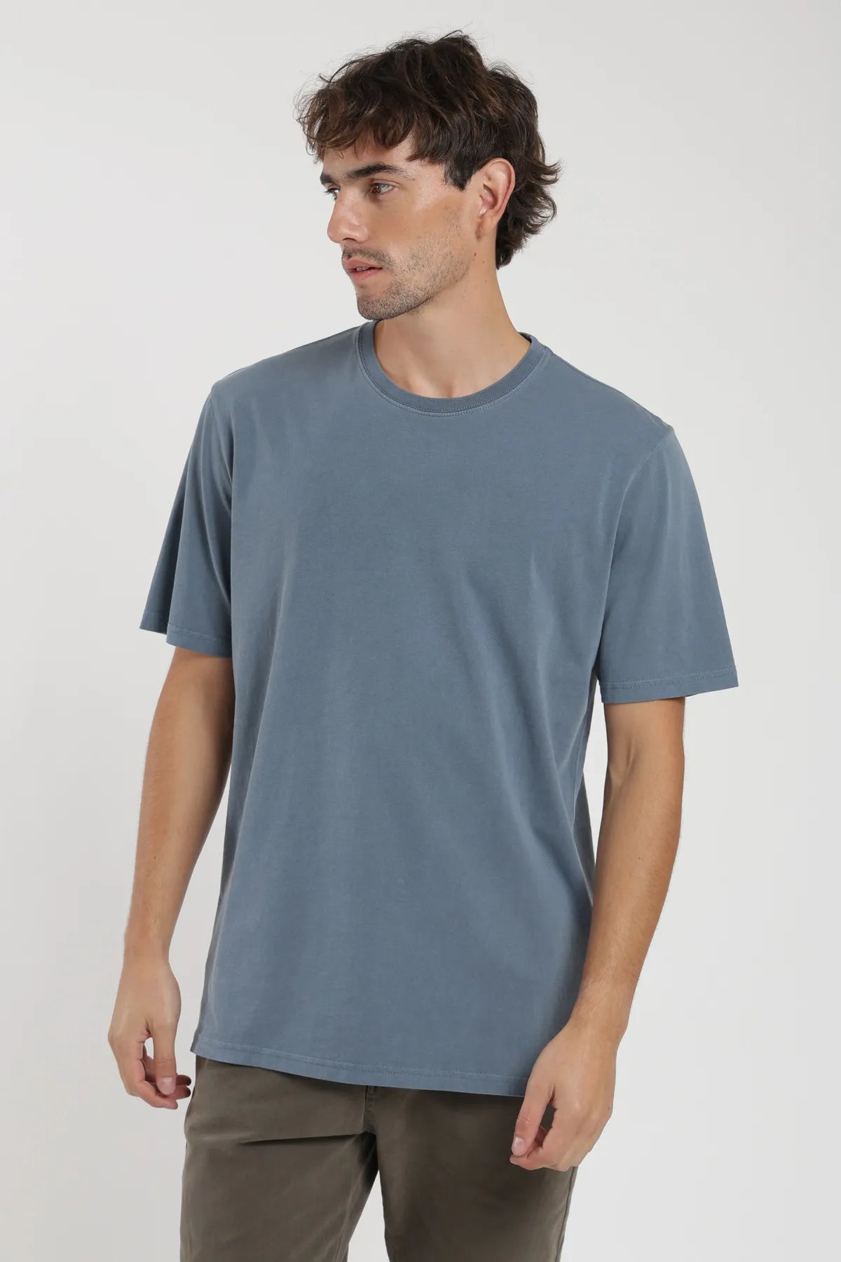 Polera manga corta hombre Plain azul - Algodón orgánico - Frøens