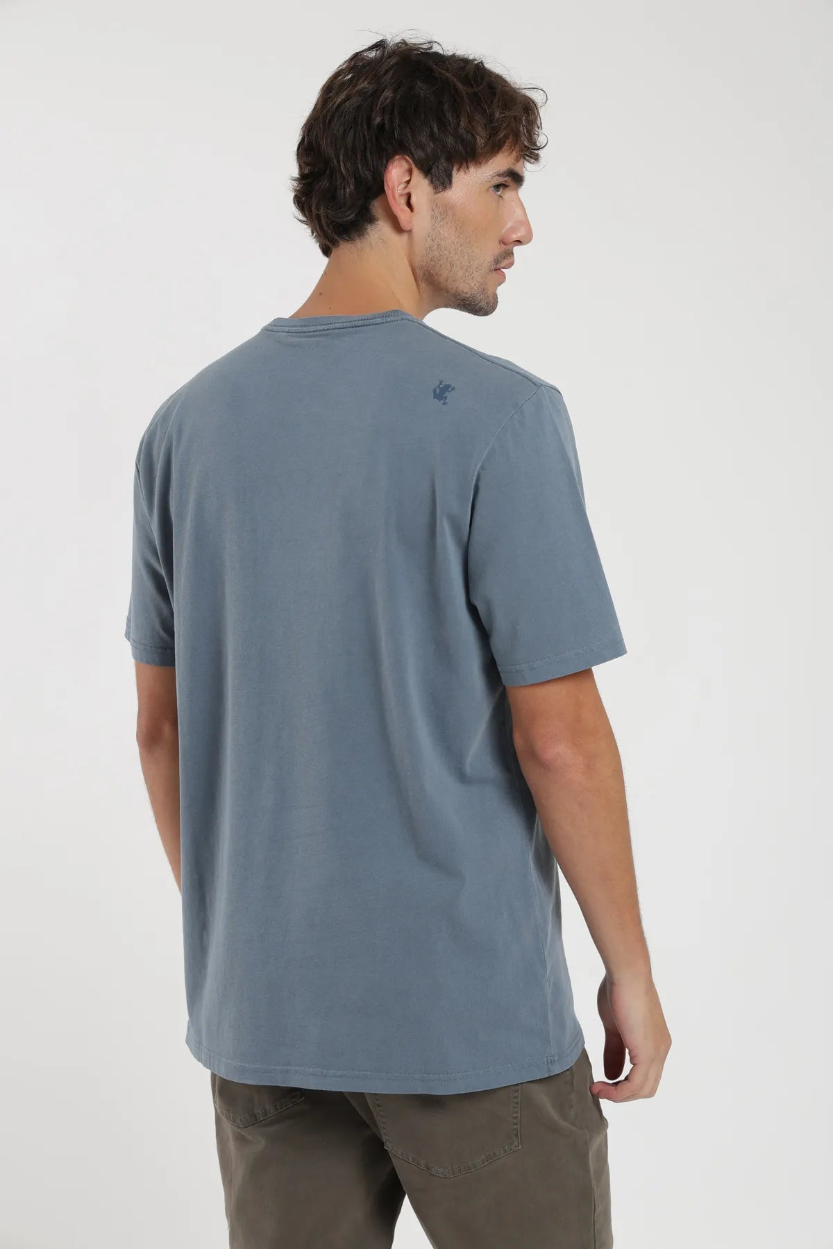 Polera manga corta hombre Plain azul - Algodón orgánico - Frøens